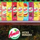 amita arthro