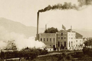 mamos factory